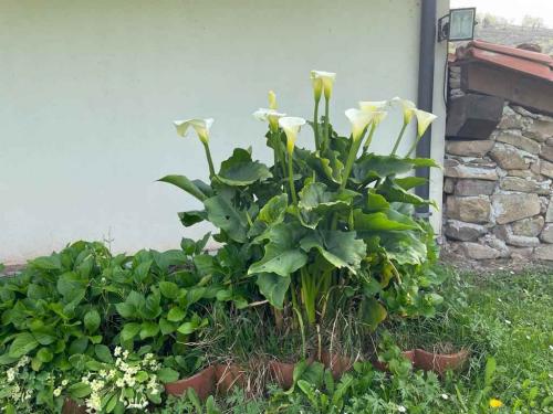 galeria_300